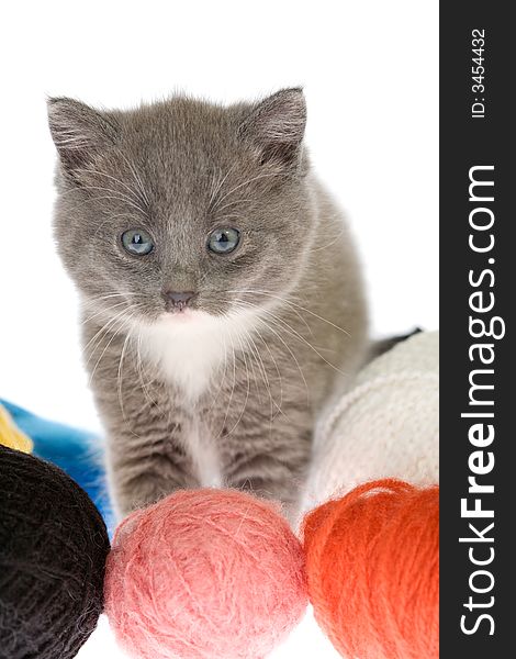 Grey kitten and some ball of yarns. Grey kitten and some ball of yarns