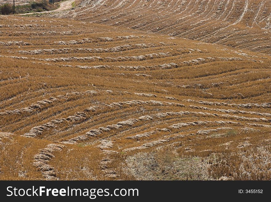 Landscape,Tuscany Val D Orcia