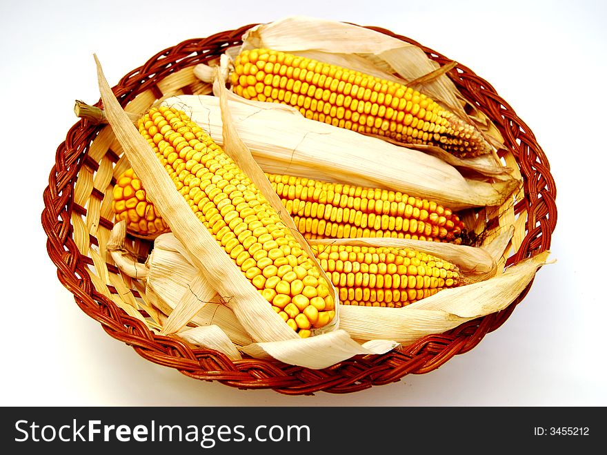 Detail basketful of full- grown corn. Detail basketful of full- grown corn