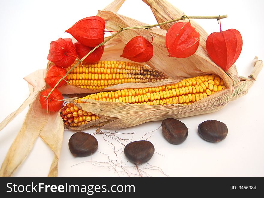 Detail corn, chestnut and flower. Detail corn, chestnut and flower