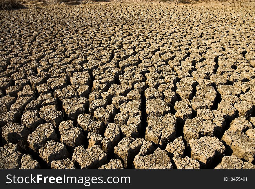 Dried land in Tuscany ,Summer 2007. Dried land in Tuscany ,Summer 2007