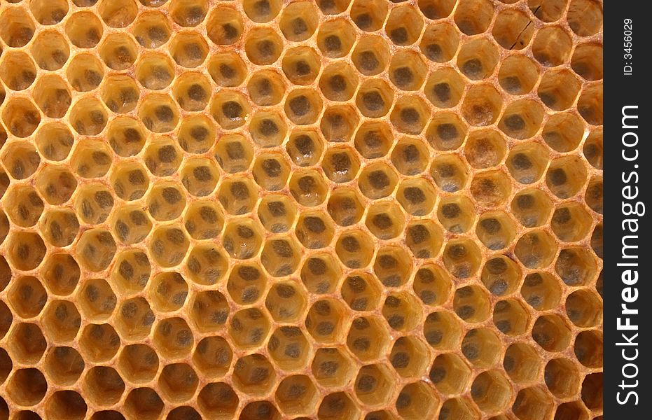 Honey Texture