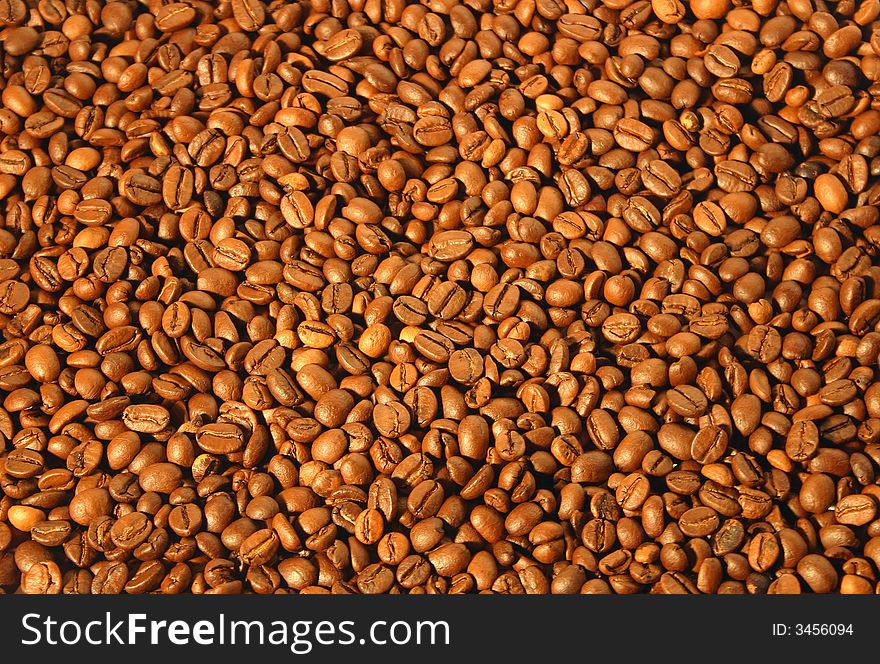 Roasted coffe grains ready for distribution. Roasted coffe grains ready for distribution