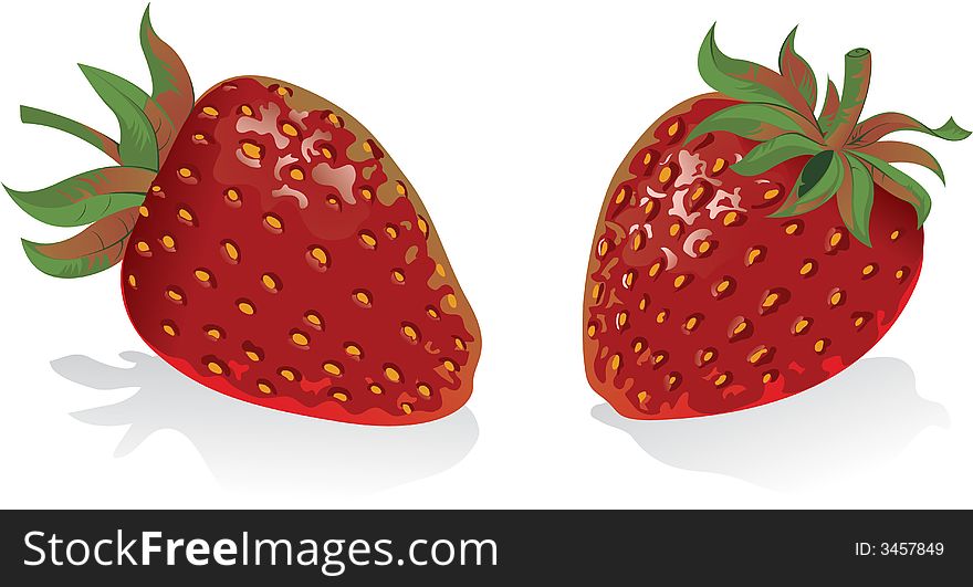 Vector illustration of a couple os strawberries