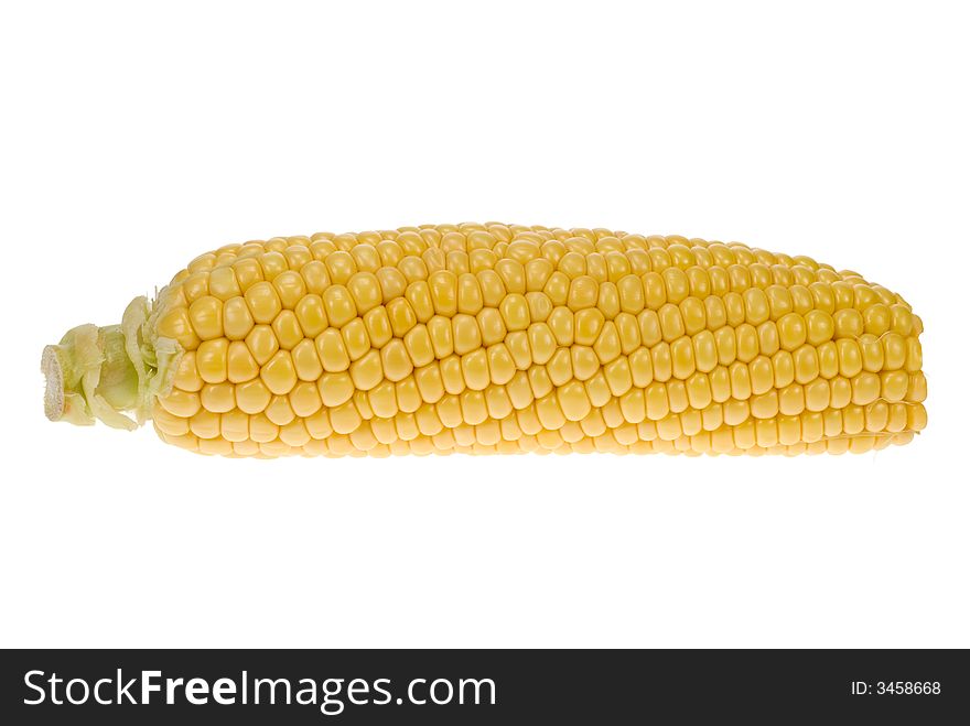 Fresh corn isolated on a white background. Fresh corn isolated on a white background