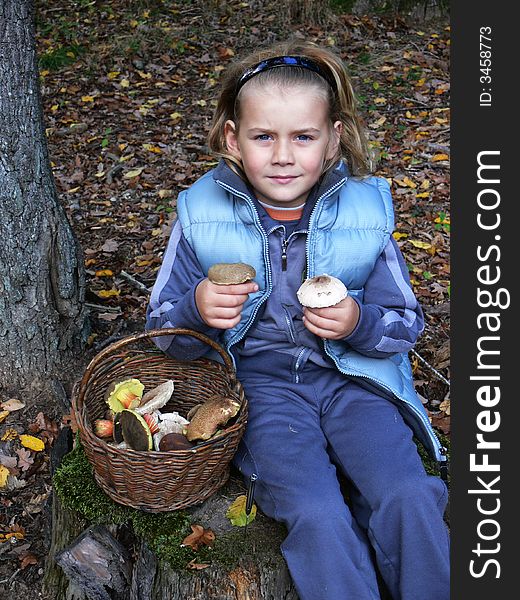 Small boy with mushrooms in the forest. Small boy with mushrooms in the forest