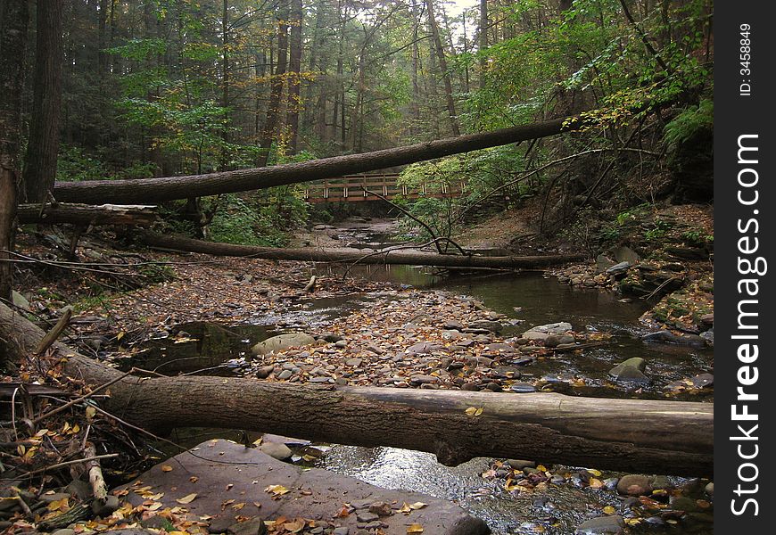 Adams Creek can be found in Ricketts Glen State Park in Pennsylvania.