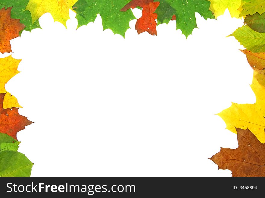 Autumn fall leaves - frame