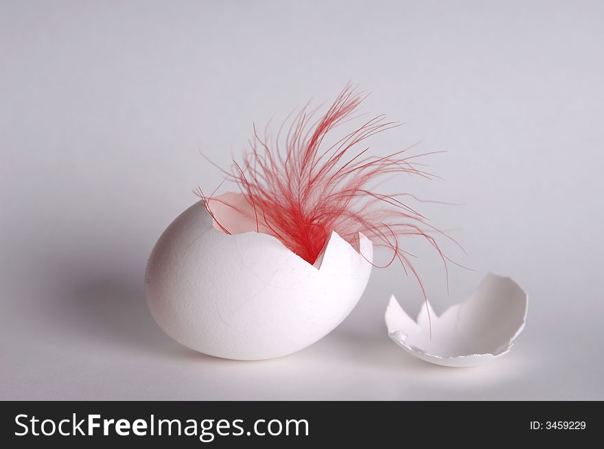 Red feather and a broken egg