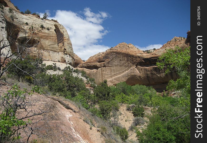 The picture taken on Lower Calf Creek Falls Trail in Grand Staircase-Escalante National Monument.