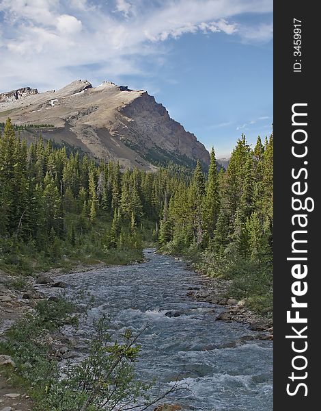 Mosquito Creek in Banff National Park, AB