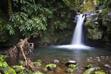 Azores: Waterfall Stock Photo Azores: Waterfall Stock Photo