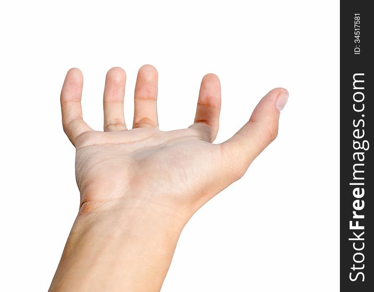 Woman hand holding something empty isolated on white background