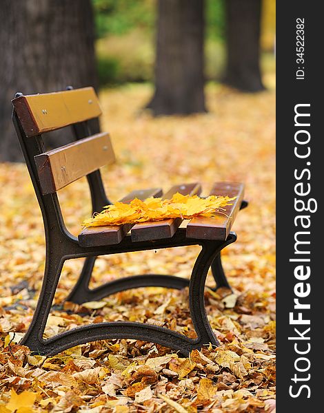 Wooden bench in the autumn park. Wooden bench in the autumn park