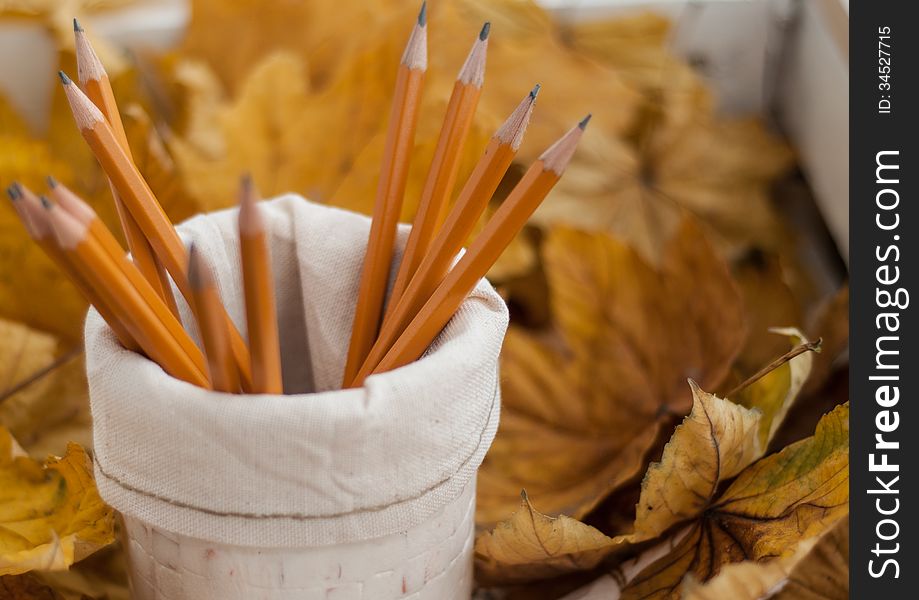 Orange pencil on a background of yellow autumn leaves. Orange pencil on a background of yellow autumn leaves