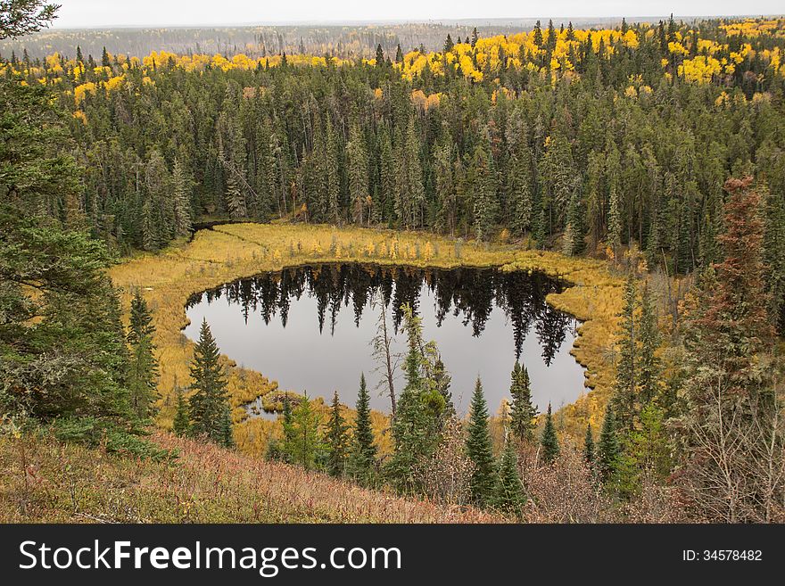 A Pond In A Valley Surrounded By A Forest