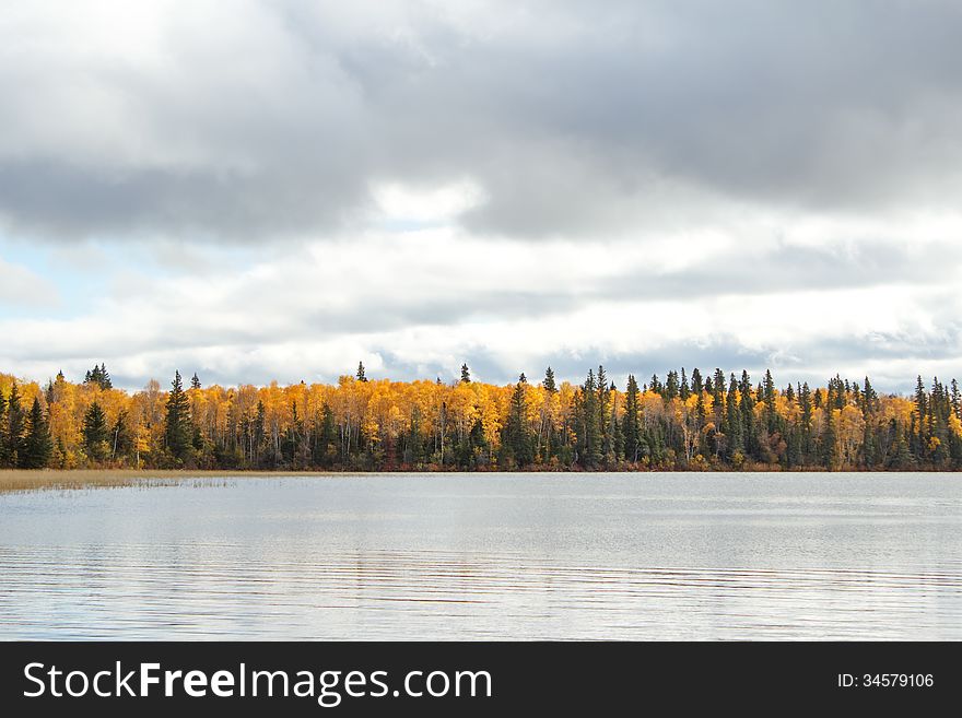 A lake with a forest of green and yellow fall trees. A lake with a forest of green and yellow fall trees