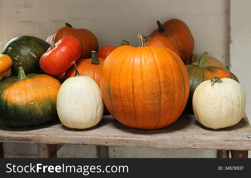 A Mixed Collection of Colourful Pumpkins and Squashes.