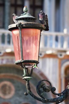 Pigeons On The Lamp On The Piazza San Marco, Venice, Italy Royalty Free Stock Photos