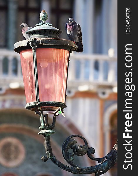 Pigeons On The Lamp On The Piazza San Marco, Venice, Italy