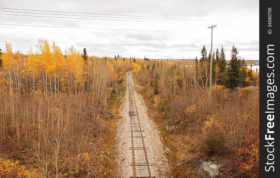 A railroad surrounded by a forest of fall colored trees in the fall under a grey sky. A railroad surrounded by a forest of fall colored trees in the fall under a grey sky