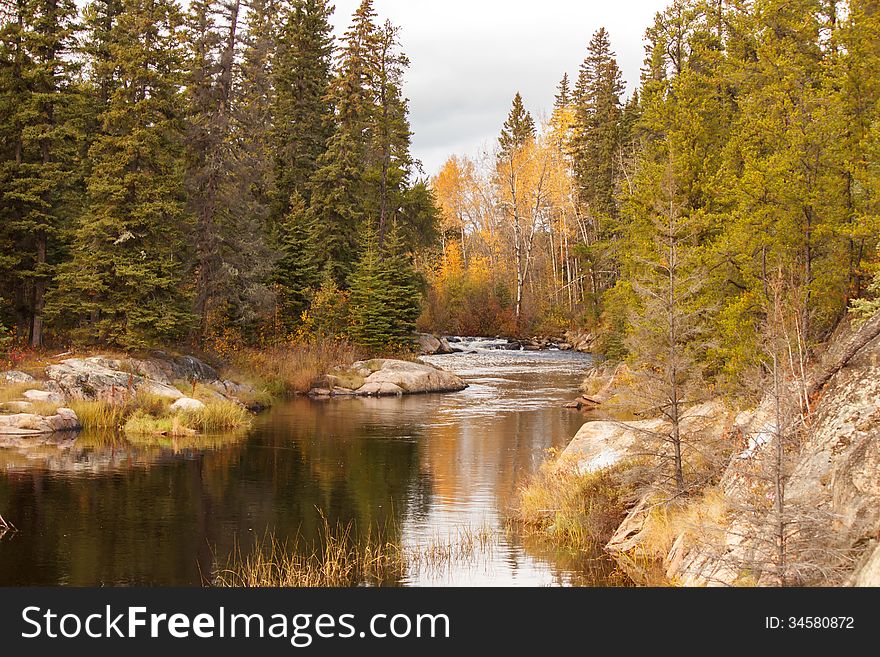 A narrow winding stream through a forest of trees and rocks. A narrow winding stream through a forest of trees and rocks