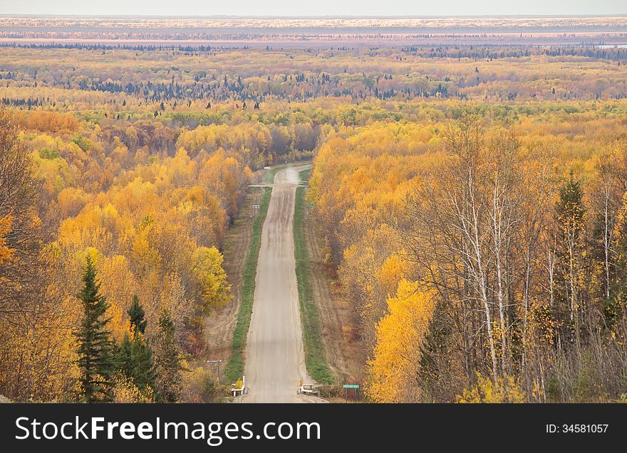 A narrow gravel road surrounded by a large forest of fall colored trees. A narrow gravel road surrounded by a large forest of fall colored trees