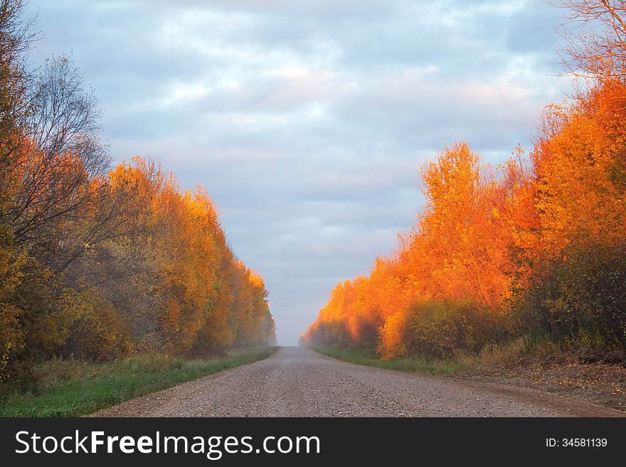 A setting sun reflecting off fall colored trees and a gravel road. A setting sun reflecting off fall colored trees and a gravel road
