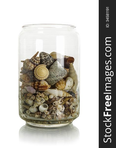 Sea shells in jar