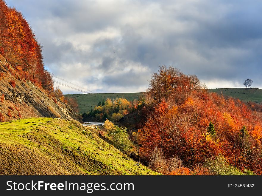 Autumn Hillside With Red And Yellow Forest