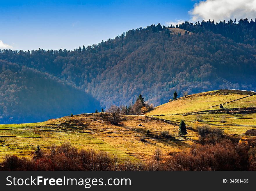 Conifer Hillside Near Autumn Forest On Top Of The Mountain Lands