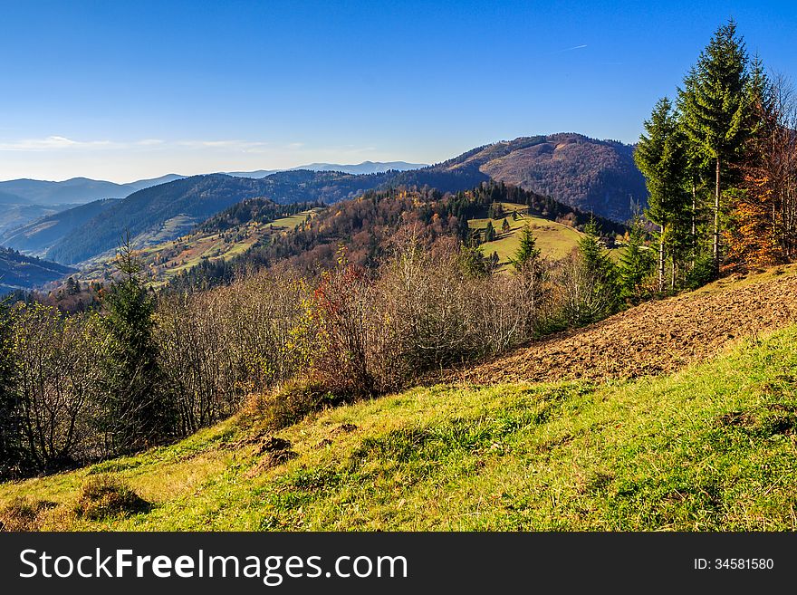 Conifer hillside near autumn forest on top of the mountain lands