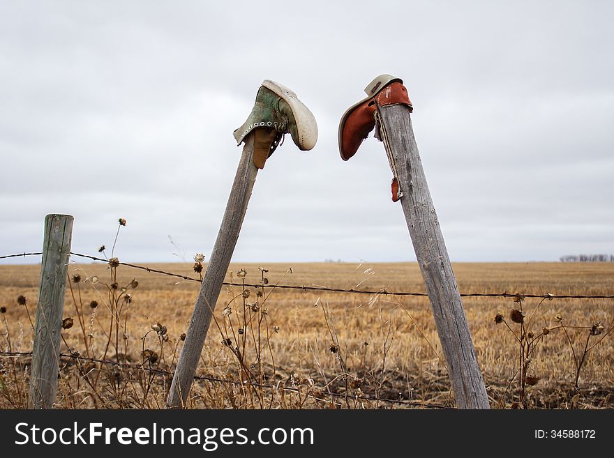 A work boot and a cowboy boot hanging upside down from fence posts by a field. A work boot and a cowboy boot hanging upside down from fence posts by a field