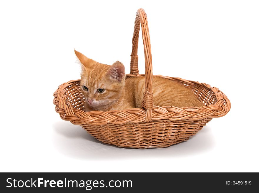 Orange kitten sitting in a basket