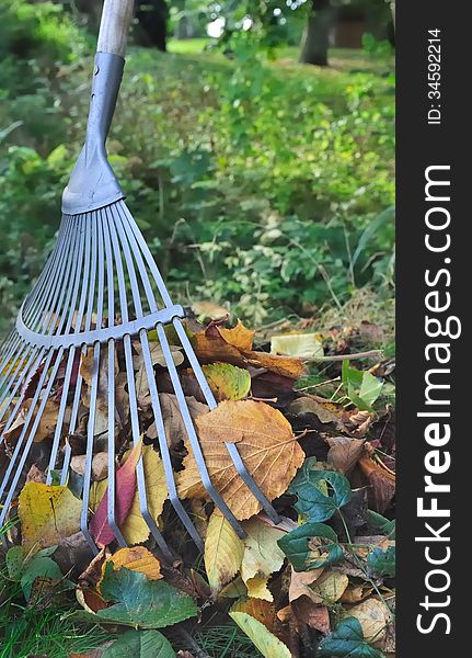 Pick up a rake for dead leaves. Pick up a rake for dead leaves