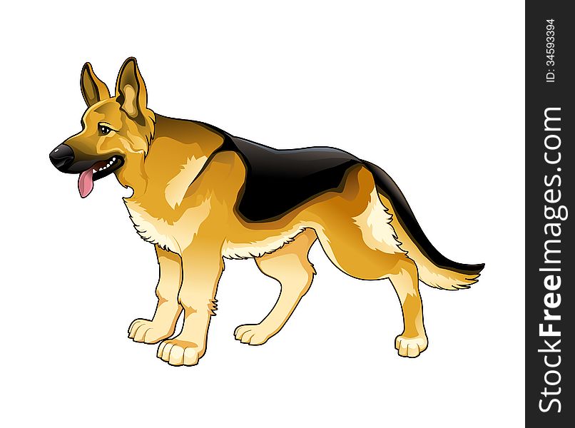 German Shepherd. Vector isolated dog.