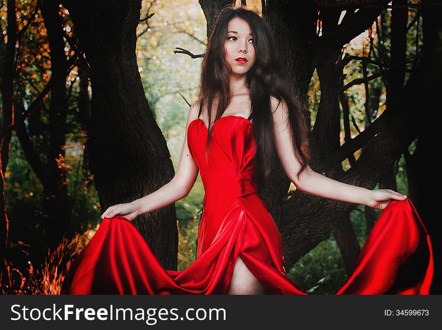 Beautiful girl in long red dress. Beautiful girl in long red dress