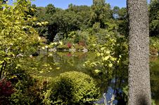 Japanese Garden 3 Stock Photo Japanese Garden 3 Stock Photo