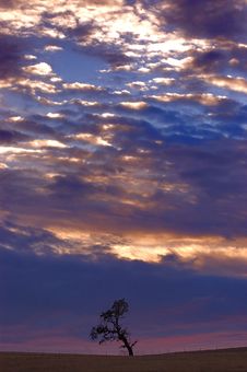 Lone Tree At Sunset Royalty Free Stock Photos Lone Tree At Sunset Royalty Free Stock Photos