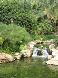 Tropical Stream Stock Photo Tropical Stream Stock Photo