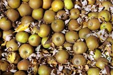 Russet Apples Royalty Free Stock Photography Russet Apples Royalty Free Stock Photography