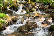 Mountain Stream Royalty Free Stock Image Mountain Stream Royalty Free Stock Image