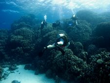 Diver Over Coral Reef Stock Photo Diver Over Coral Reef Stock Photo