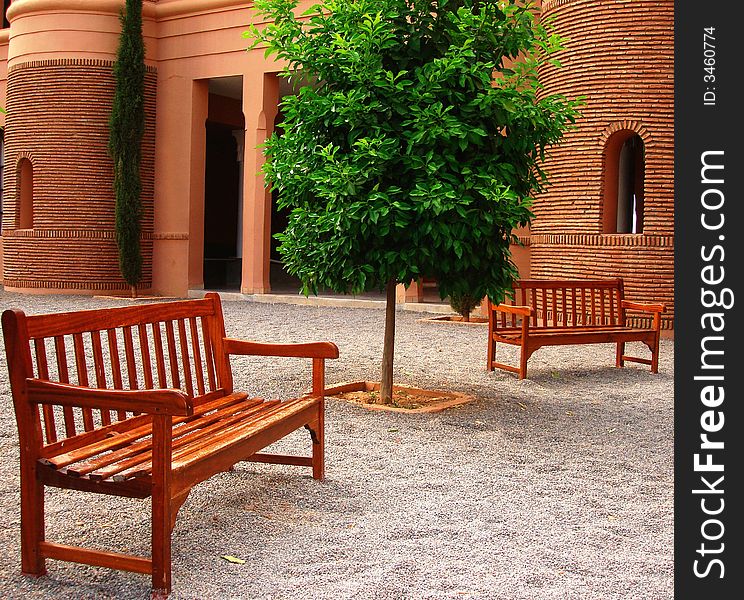 A tree between two benches. A tree between two benches
