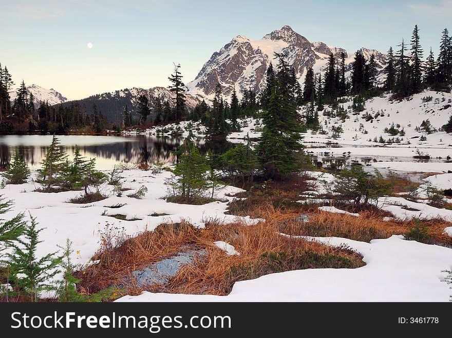 Foliage at Mount Shuksan