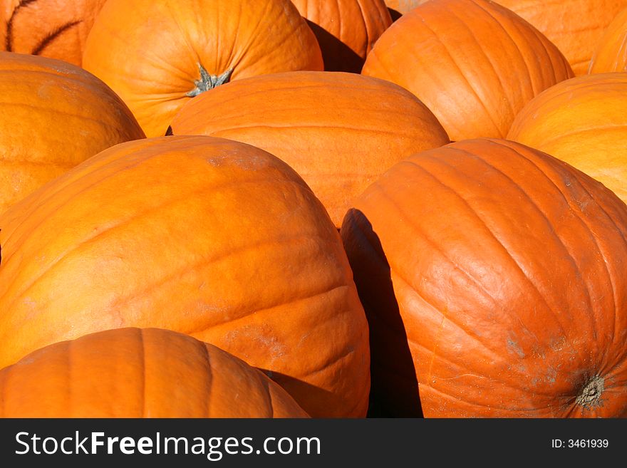 Pile Of Pumpkins