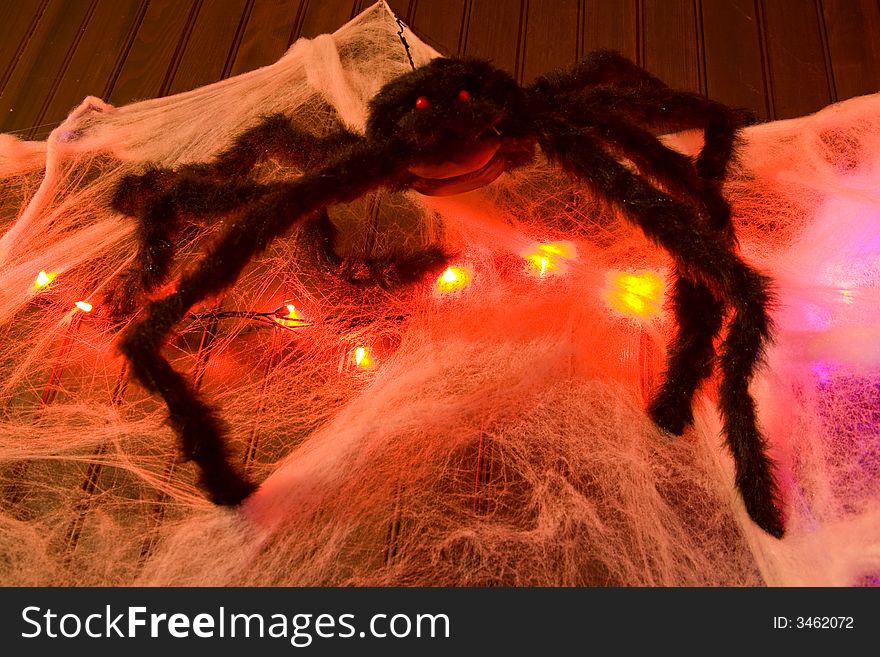 Spider Halloween decoration hanging in web with lights