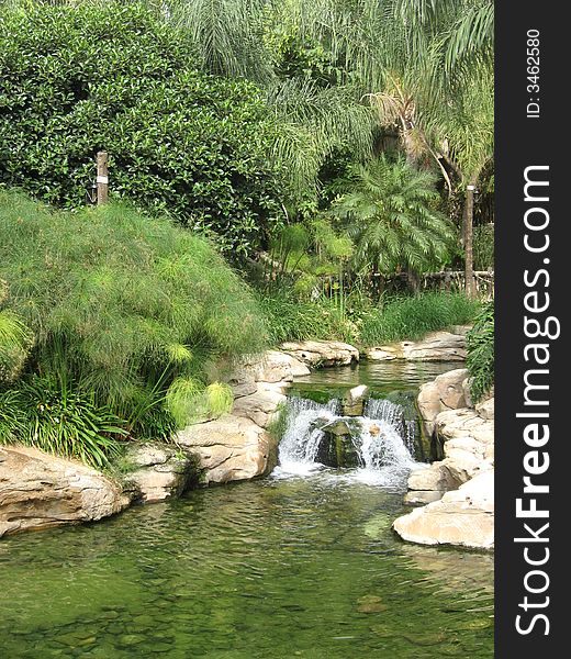 Tropical stream among the lush green leaves