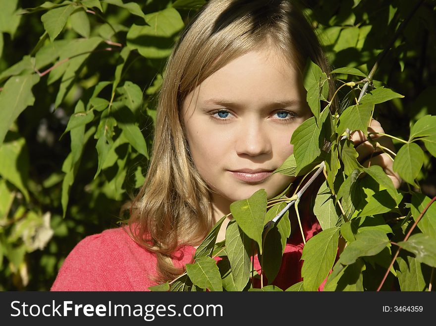 Young girl in the leaves of the tree