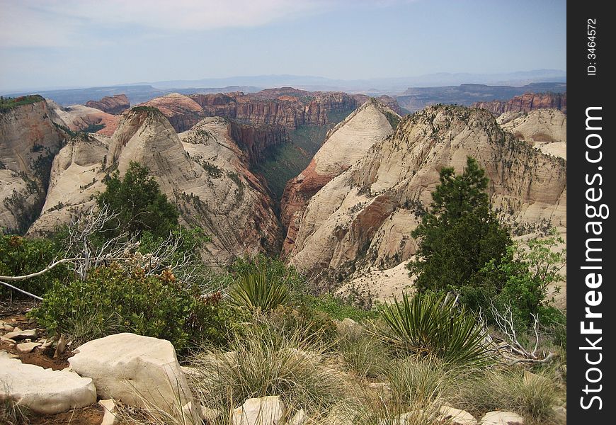 Wildcat Canyon can be seen on West Rim Trail in Zion National Park. Wildcat Canyon can be seen on West Rim Trail in Zion National Park.